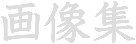 画像集